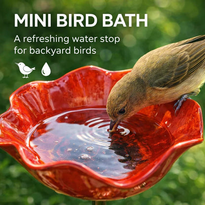 🐦 Mini Bird Bath & Pollinator Water Station - 49% OFF- ✨ Attract Birds & Beneficial Insects