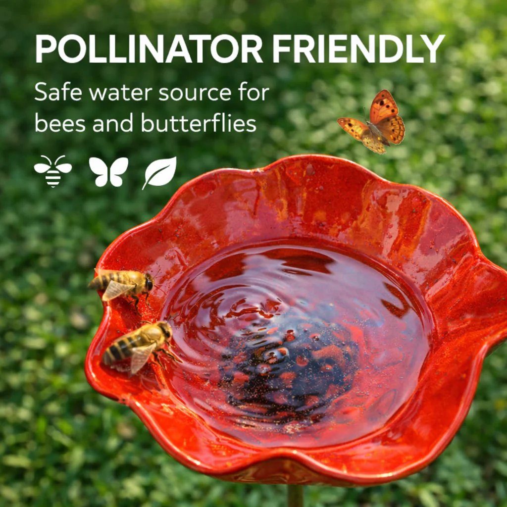 🐦 Mini Bird Bath & Pollinator Water Station - 49% OFF- ✨ Attract Birds & Beneficial Insects