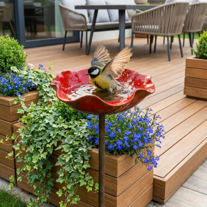 🐦 Mini Bird Bath & Pollinator Water Station - 49% OFF- ✨ Attract Birds & Beneficial Insects
