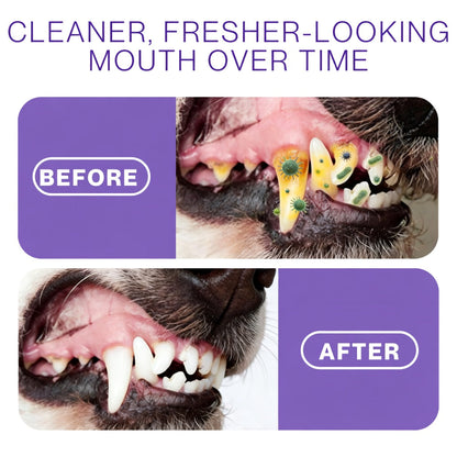 Pet Oral Spray ✅ Freshen Breath, Remove Tartar & Promote gum regeneration, stabilize teeth 🦷-$AC