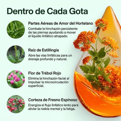 Sentirse más ligera y con menos  en 16 días o menos